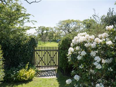 Picture 22